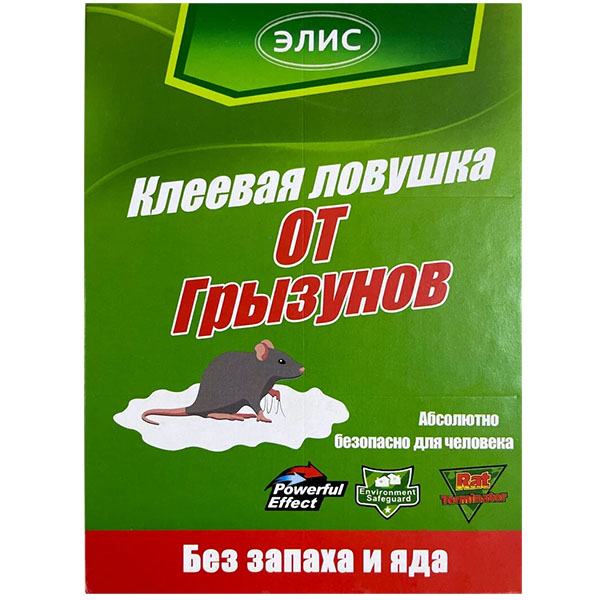 �������� ������� ������� �� �������� "������� �����" �������. ����� �� ����������